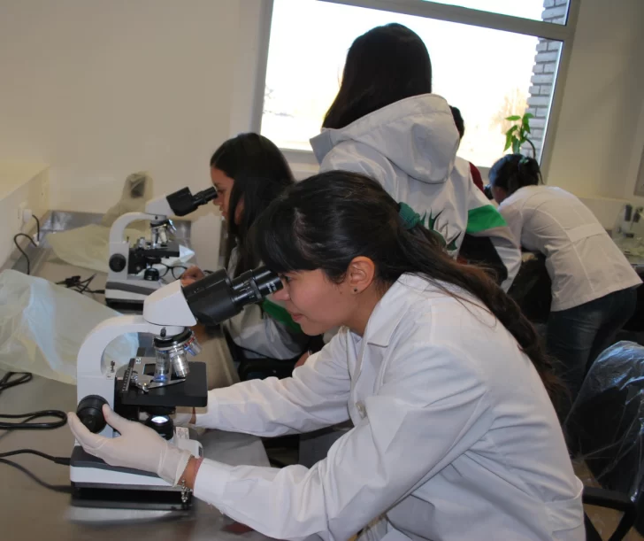 DCC030925-003F06-728x611