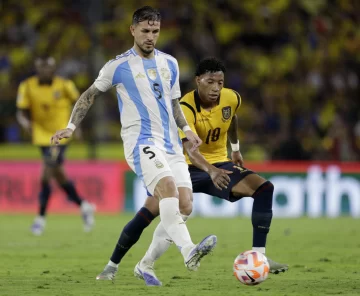 DCC100925-023F03-728x598