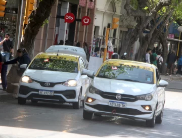 Avanza el proyecto de Ley de Transporte: cambios, facilidades y viajes con mascotas