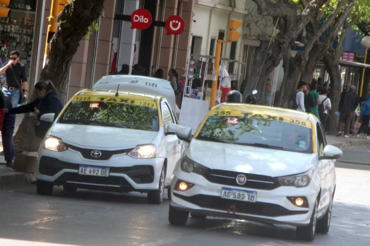 Avanza el proyecto de Ley de Transporte: cambios, facilidades y viajes con mascotas