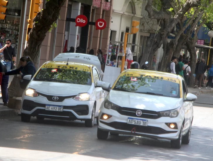 Avanza el proyecto de Ley de Transporte: cambios, facilidades y viajes con mascotas