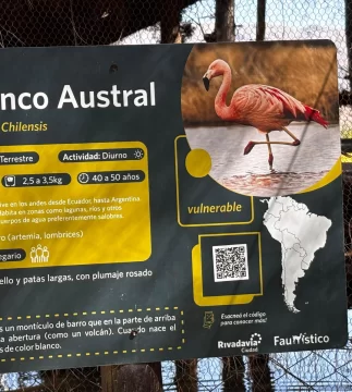 DCC140925-004F03-652x728