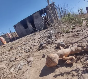 DCC240925-007F06-728x652