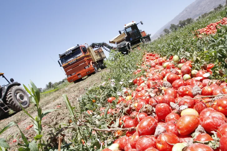 DCC300925-009F02-728x484