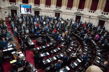 Revés para el Gobierno: Diputados rechazó los vetos de Milei a las leyes de financiamiento universitario y de fondos para el Garrahan Revés para el Gobierno: Diputados rechazó los vetos de Milei a las leyes de financiamiento universitario y de fondos para el Garrahan