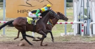 “El Mau”, “Asiatic King” y “Señor Importante”, algunos de los nombres del clásico Sarmiento reservado para caballos locales