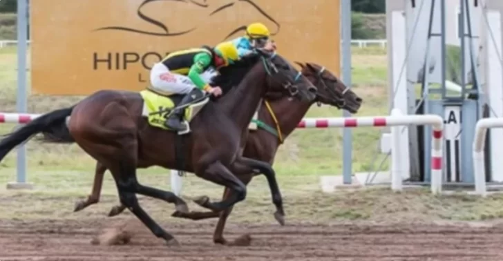 “El Mau”, “Asiatic King” y “Señor Importante”, algunos de los nombres del clásico Sarmiento reservado para caballos locales