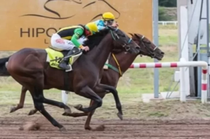 “El Mau”, “Asiatic King” y “Señor Importante”, algunos de los nombres del clásico Sarmiento reservado para caballos locales