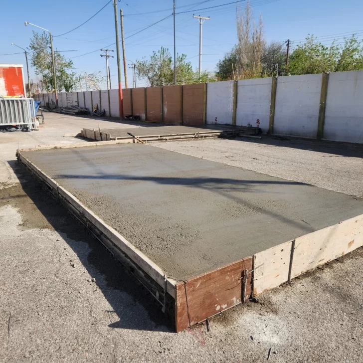 IMG_0637-1-728x728 IMG_0637-1-728x728