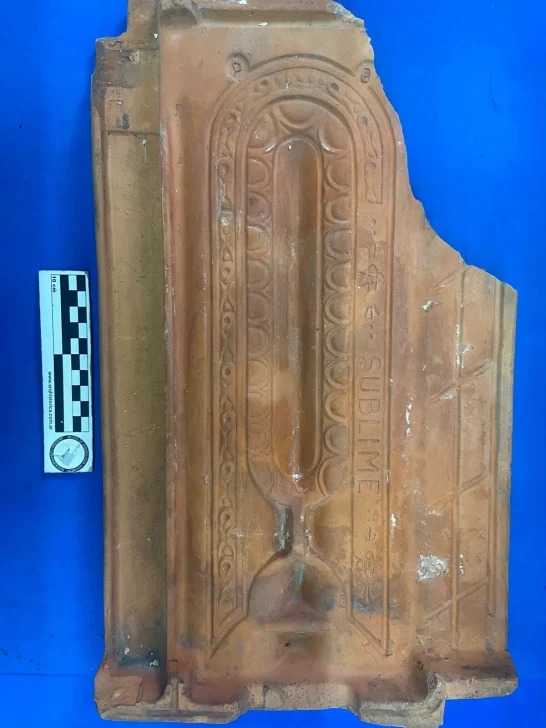 Muestra-de-descubrmientos-546x728