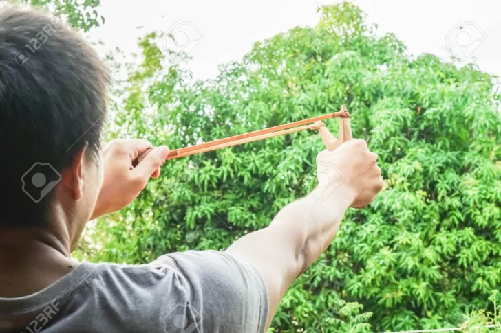 Sobre pájaros y hondas