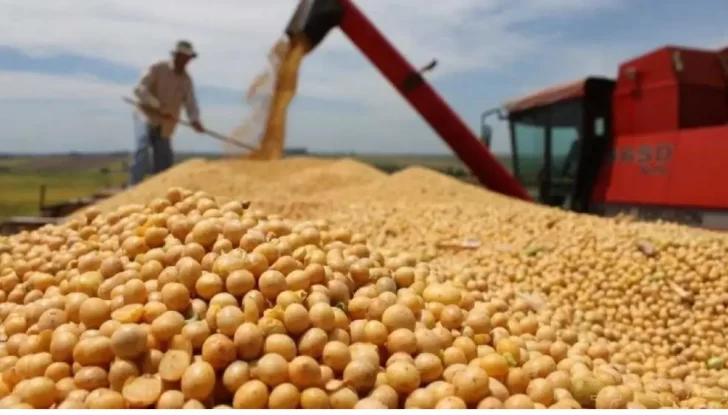 Impulso exportador argentino mueve el mercado de granos Impulso exportador argentino mueve el mercado de granos