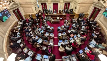 El Senado rechazó el veto de Milei y reinstauró la ley de emergencia en discapacidad