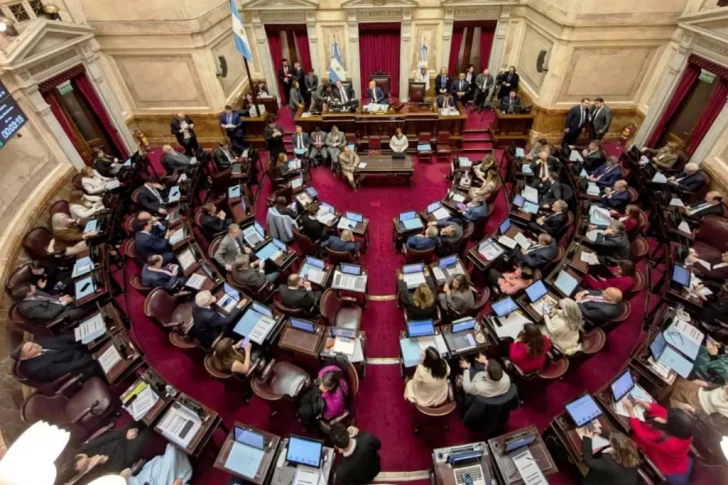 El Senado rechazó el veto de Milei y reinstauró la ley de emergencia en discapacidad