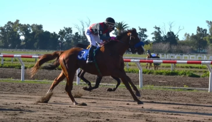 Senor-Importante-728x419