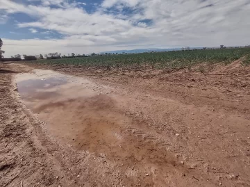 Por las lluvias, Hidráulica discutirá suspender el riego unos días más