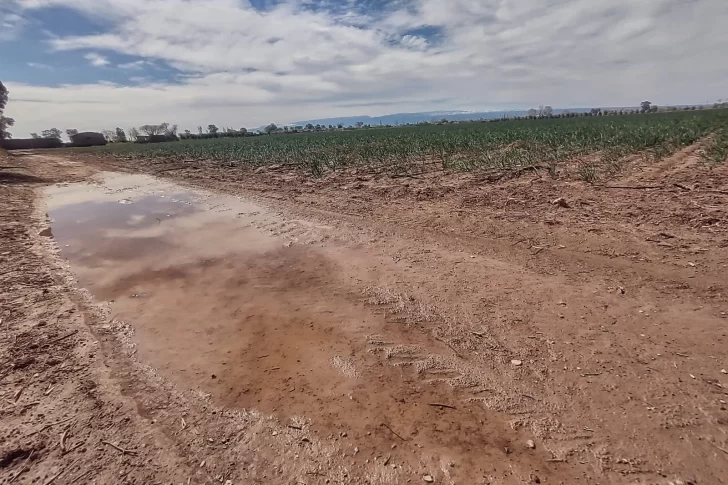 Por las lluvias, Hidráulica discutirá suspender el riego unos días más