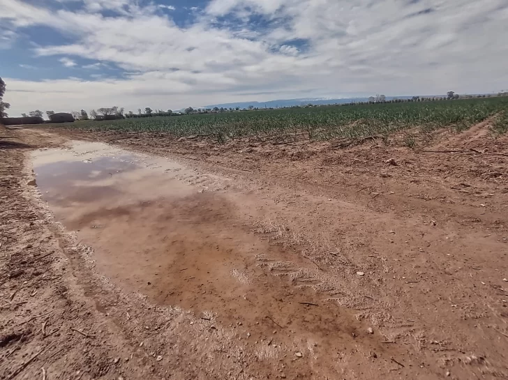Por las lluvias, Hidráulica discutirá suspender el riego unos días más