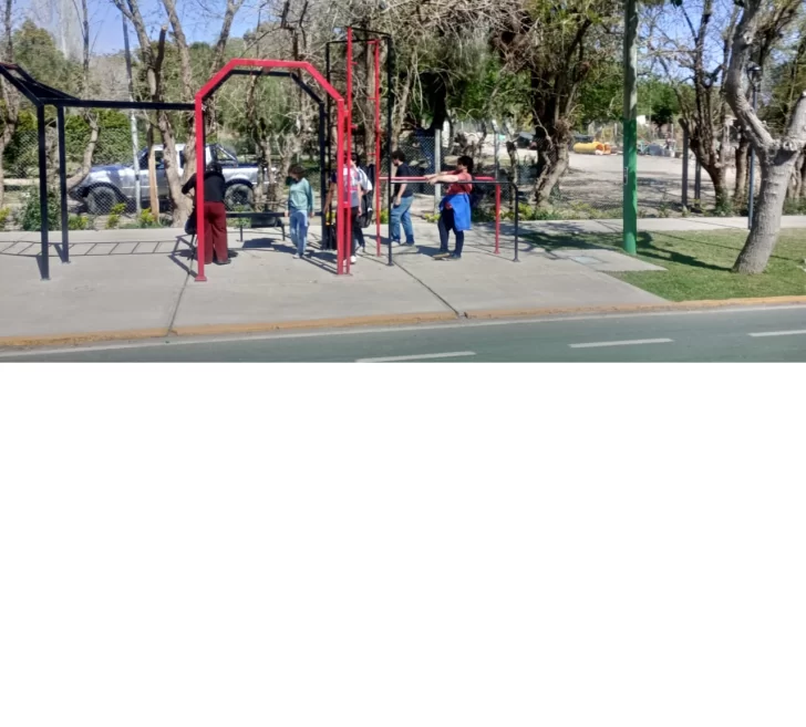 WEB-VEREDA-1-728x657