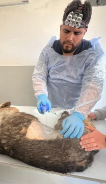 WhatsApp-Image-2025-09-05-at-4.51.17-PM-420x728