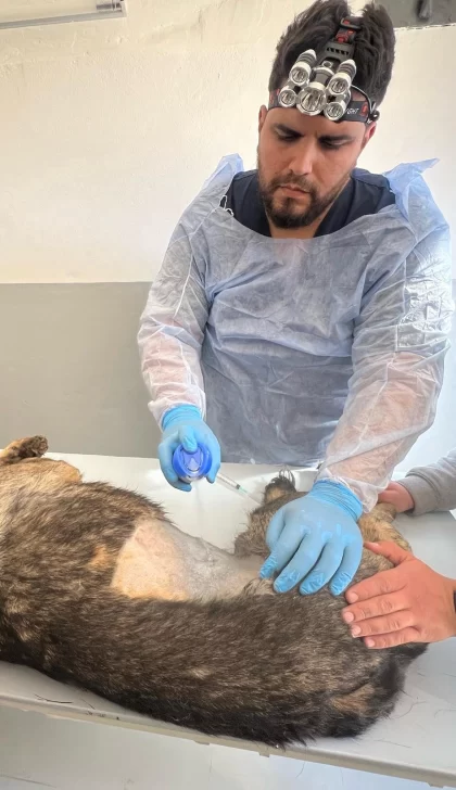 WhatsApp-Image-2025-09-05-at-4.51.17-PM-420x728