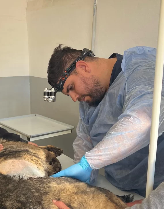 Histórico: un policía veterinario realizó la primera cirugía en la División Canes