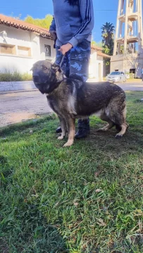 WhatsApp-Image-2025-09-05-at-4.51.19-PM-410x728