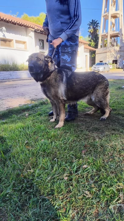 WhatsApp-Image-2025-09-05-at-4.51.19-PM-410x728