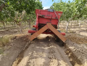 Cómo es el proceso para generar abono con restos de poda de San Juan Cómo es el proceso para generar abono con restos de poda de San Juan