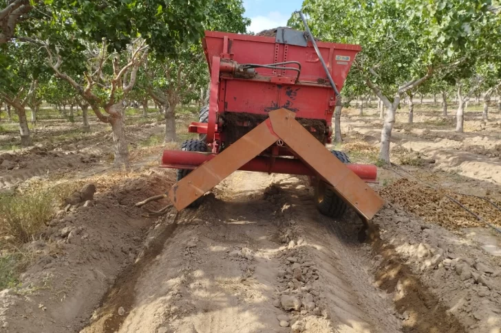 Cómo es el proceso para generar abono con restos de poda de San Juan