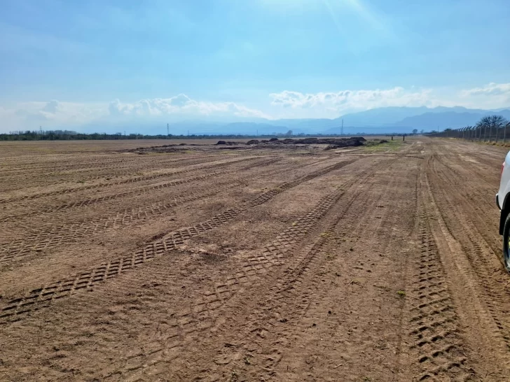 WhatsApp-Image-2025-09-23-at-16.53.21-728x546