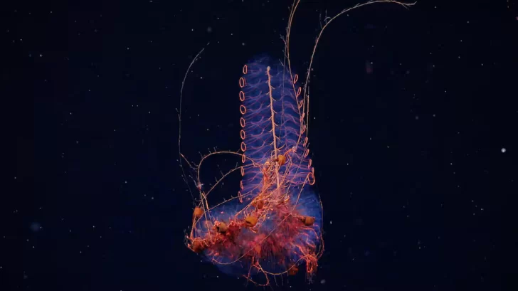 YVS5BK5OWNCRFJSI6RZ2ZT5ENQ-728x409