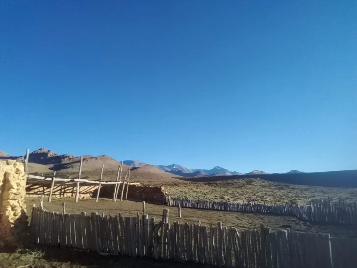 angualasto-728x546 angualasto-728x546