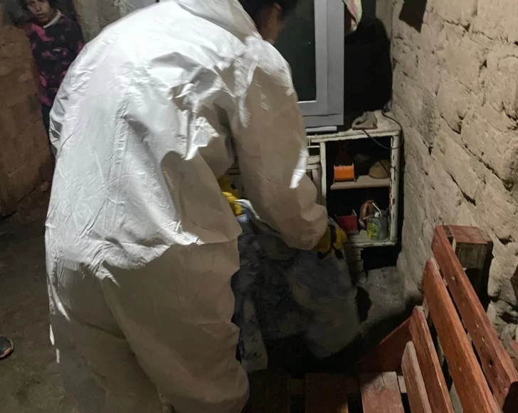 b7ee740b-2280-49fd-9592-e814dac45bbc-728x581