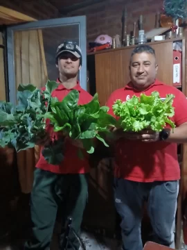 Los Bomberos Voluntarios de Albardón cultivan sus propias verduras hidropónicas