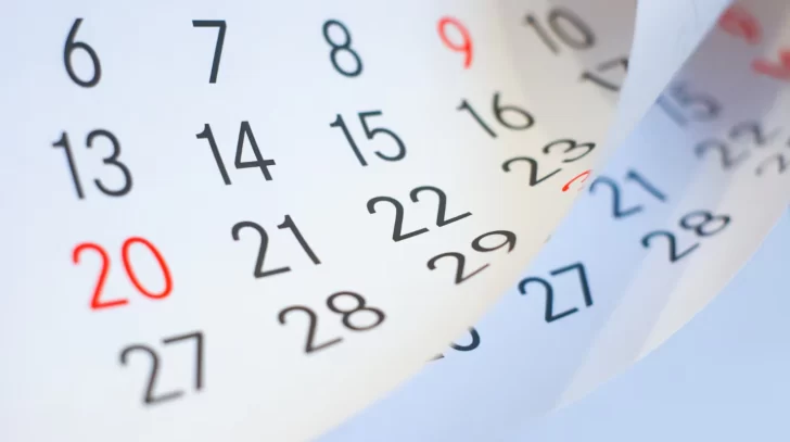 ¿El viernes 21 de noviembre es feriado o día no laborable?