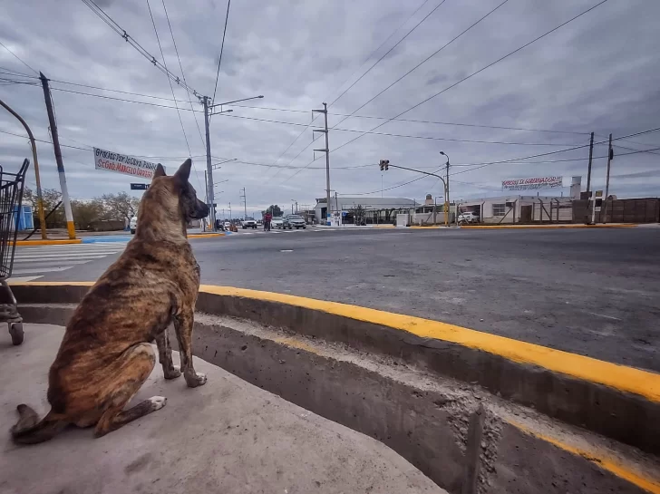 calle-5-ensanche-2025-inauguracion-4-728x545 calle-5-ensanche-2025-inauguracion-4-728x545