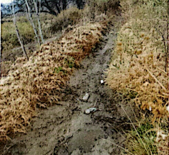 Regantes de Jáchal reclamaron por la limpieza de canales