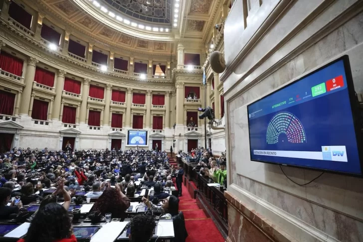 Uno por uno, así votaron los diputados el rechazo a los vetos de las leyes de Financiamiento Universitario y de Emergencia en Pediatría Uno por uno, así votaron los diputados el rechazo a los vetos de las leyes de Financiamiento Universitario y de Emergencia en Pediatría