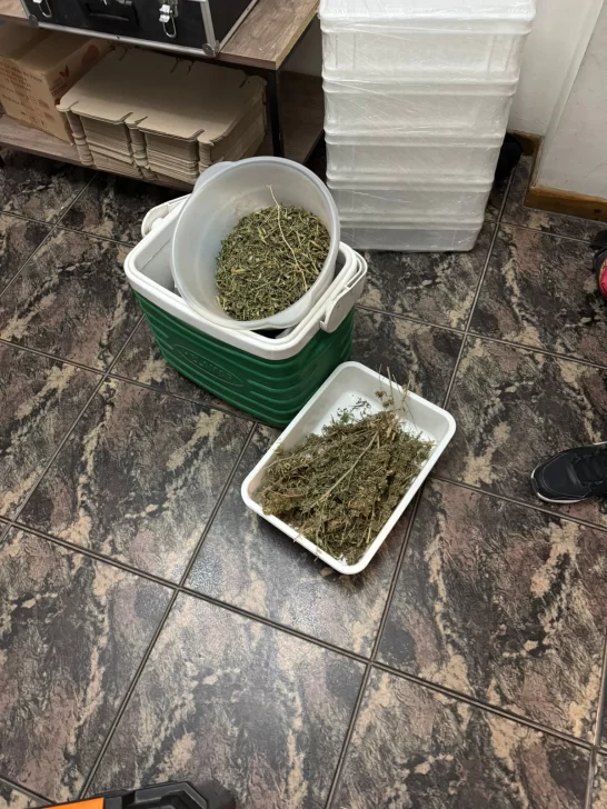 droga-546x728 droga-546x728