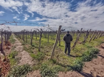 Hidráulica guardará agua de riego hasta el lunes, aprovechando las lluvias