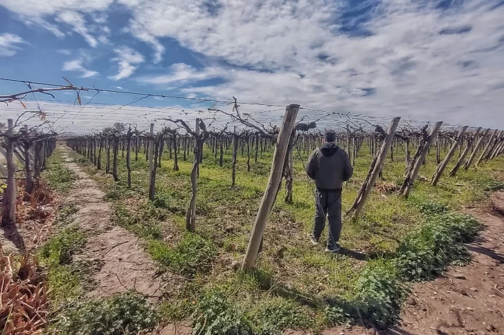 Hidráulica guardará agua de riego hasta el lunes, aprovechando las lluvias
