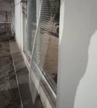 Robaron en una escuela y se llevaron verduras de una finca: fueron detenidos