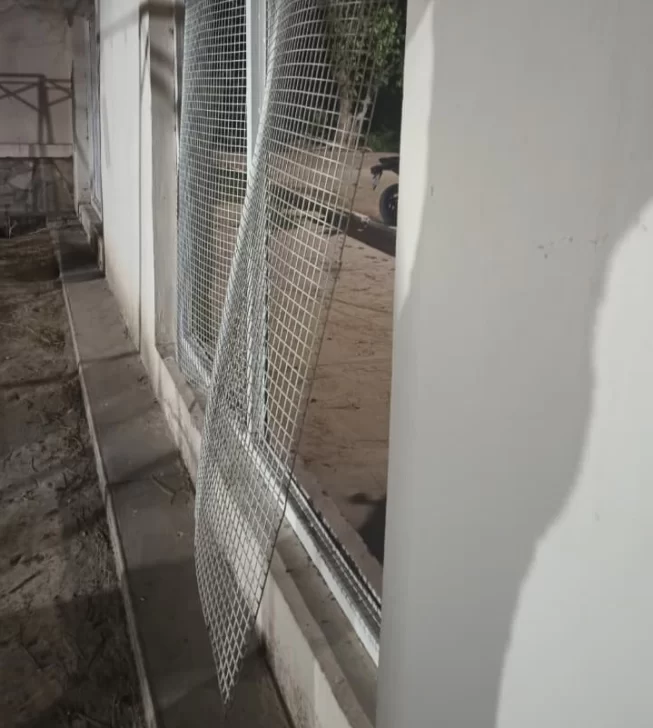 Robaron en una escuela y se llevaron verduras de una finca: fueron detenidos