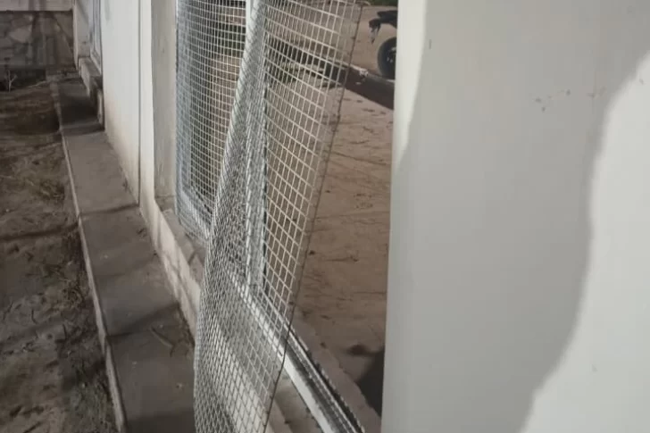 Robaron en una escuela y se llevaron verduras de una finca: fueron detenidos