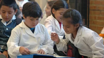 Cambios en el sistema educativo: incorporan una nueva materia obligatoria en todas las escuelas del país