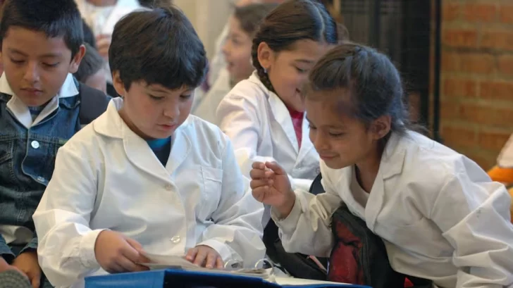Cambios en el sistema educativo: incorporan una nueva materia obligatoria en todas las escuelas del país