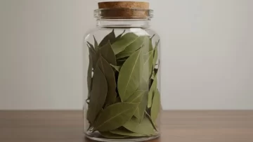 Dónde hay que poner un frasco con hojas de laurel para atraer el dinero en septiembre Dónde hay que poner un frasco con hojas de laurel para atraer el dinero en septiembre