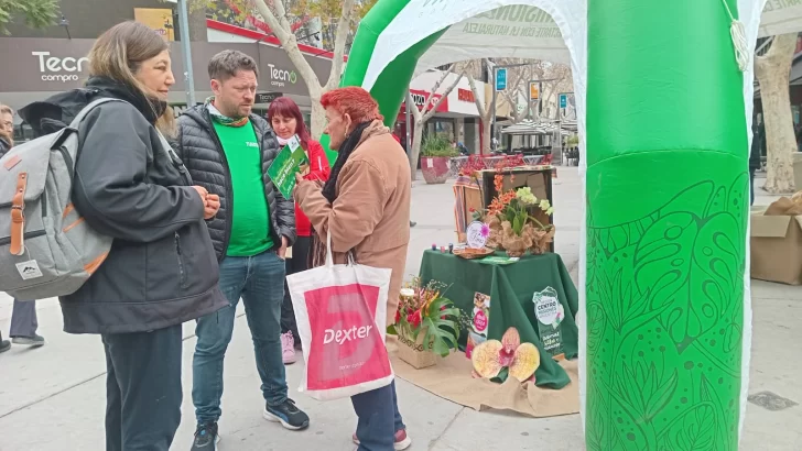 misiones-en-peatonal-2-728x410 misiones-en-peatonal-2-728x410