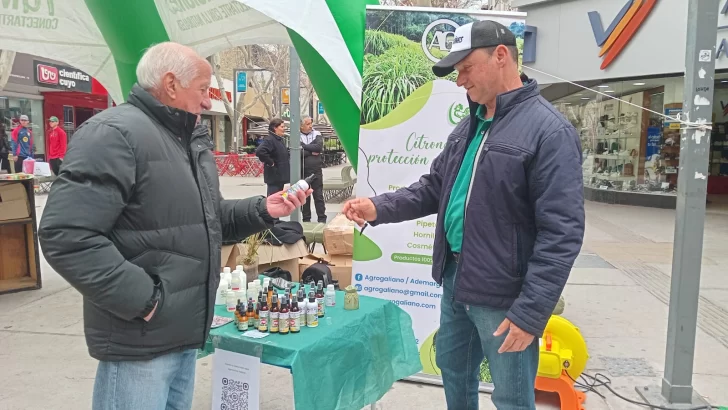 misiones-en-peatonal-5-728x410 misiones-en-peatonal-5-728x410